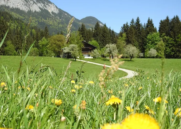 Bauernhof Hintenberg 农家乐 *